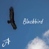 Blackbird artwork