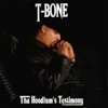 Tha Hoodlum's Testimony