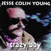 Jesse Colin Young - Darkness , Darkness