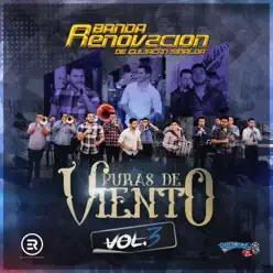 Puras De Viento En Vivo, Vol. 3 - Banda Renovación Puras De Viento En Vivo, Vol. 3 - Banda Renovación