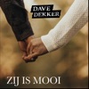 Zij Is Mooi - Single