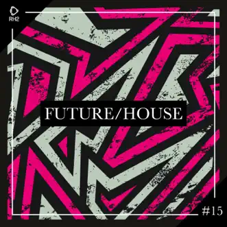 Future/House #15 by Various Artists album reviews, ratings, credits