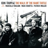 The Walk of the Giant Turtle (Edition Deluxe) artwork