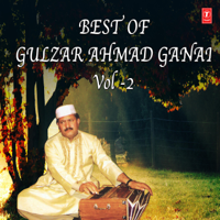 Gulzar Ahmad Ganai - Best of Gulzar Ahmad Ganai, Vol. 2 artwork