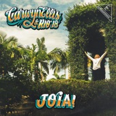 Joia! artwork