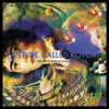 Various Artists - A Tribe Called Kotori - Chapter 3 bild