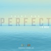 Perfect (feat. V. Rose) - Single