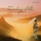 Akash - Frank Steiner Jr. lyrics