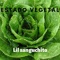 Estado Vegetal - Lil Sanguchito lyrics