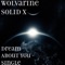 Dream About You - Wolvarine Solid X lyrics