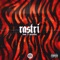 Rastri (feat. Marvel Boy) - KEVVO lyrics
