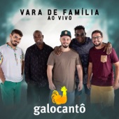 Vara de Família (Ao Vivo) artwork