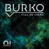 Pull Me Under - Single