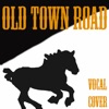 Cowboy Man - Old Town Road (Vocal Cover of Lil Nas X)