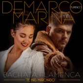 Bachata Flamenca: Te has marchado (feat. Marina) artwork