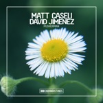 Matt Caseli & David Jimenez - Pusherman (Get High Mix)