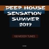 Deep House Sensation Summer 2019: 100 Moody Tunes