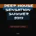 Deep House Sensation Summer 2019: 100 Moody Tunes album cover