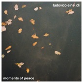 Moments of Peace artwork
