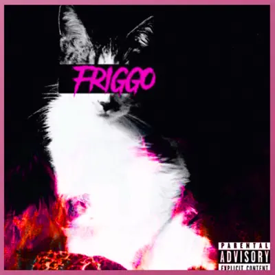 Friggo - Single - Downer