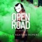 Open Road (Panda Bounce Mix) artwork