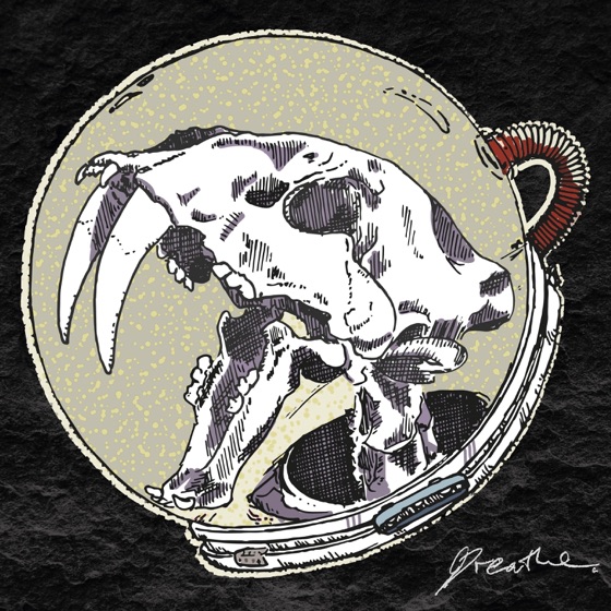 Cover artwork for Parallel
