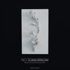 Vesim Ipek - No Tomorrow