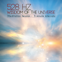 Various Artists - 528 Hz Wisdom of the Universe (Meditation Session 5 Minute Intervals) artwork