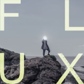 Flux artwork