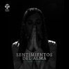 Sentimientos del Alma
