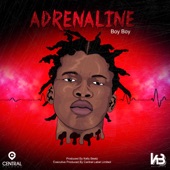 Adrenaline artwork