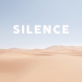 Silence : Musique calme et apaisante artwork