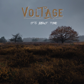 It's About Time - Voltage