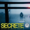 Secrete (Andrew Maze Remix) - Single
