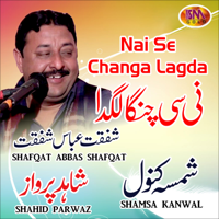 Shafqat Abbas Shafqat, Shamsa Kanwal & Shahid Parwaz - Nai Se Changa Lagda, Vol. 20 artwork