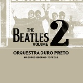The Beatles, Vol. 2 artwork