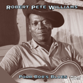 Poor Boy, Long Way from Home - Robert Pete Williams