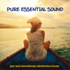 Pure Essential Sound