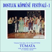 Dostluk Köprüsü Festivali - 1 artwork