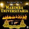 Marimba Universitaria - El Rascapetate