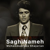SaghiNameh artwork