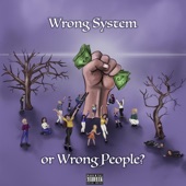 Wrong System or Wrong People? artwork