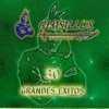 30 Grandes Éxitos, 2015