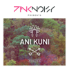 Ani Kuni (Digi Remix) - Pink Noisy