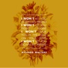 I Won't - Single