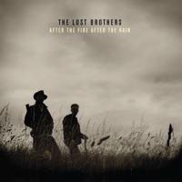 The Lost Brothers - After the Fire After the Rain artwork