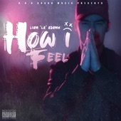 How I Feel artwork