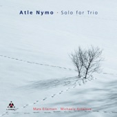 Solo for Trio artwork