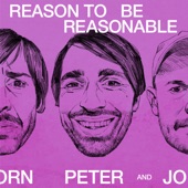 Reason To Be Reasonable artwork