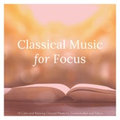 Classical Music for Focus: 14 Calm and Relaxing Classical Pieces for Concentration and Focus artwork